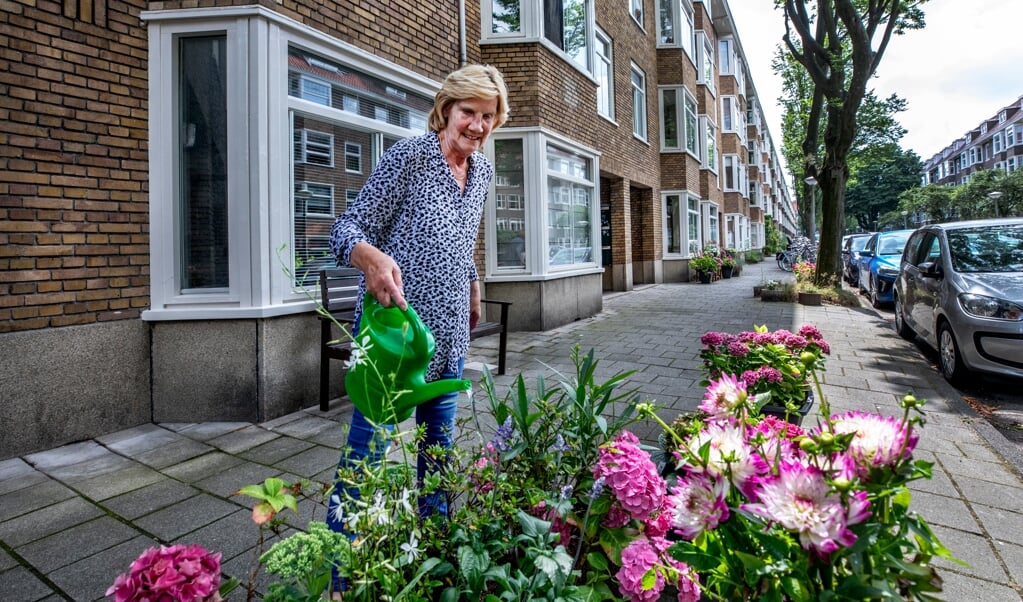 Truus van der Baaren een van de oudere inwoonster van de Walbeeckstraat geeft haar planten water. Op de achtergrond het blokje huizen tussen 42 en 58. (beeld Raymond Rutting / vk )