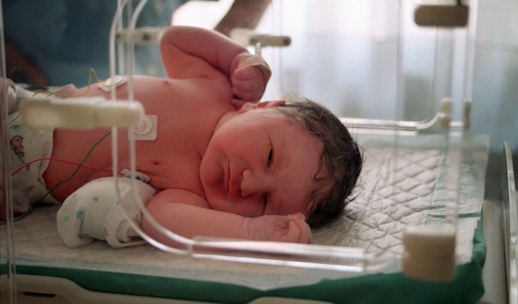 Baby's van armere ouders zijn vaak zwaarder dan die van rijkere ouders. (beeld afp / Didier Pallages)