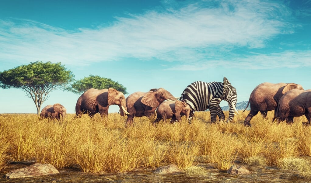 bij het artikel van humoronderzoeker Dick Zijp, die stelt dat humor bestaande machtsverhoudingen en hiërarchieën kan versterken en bevestigen (beeld istock)