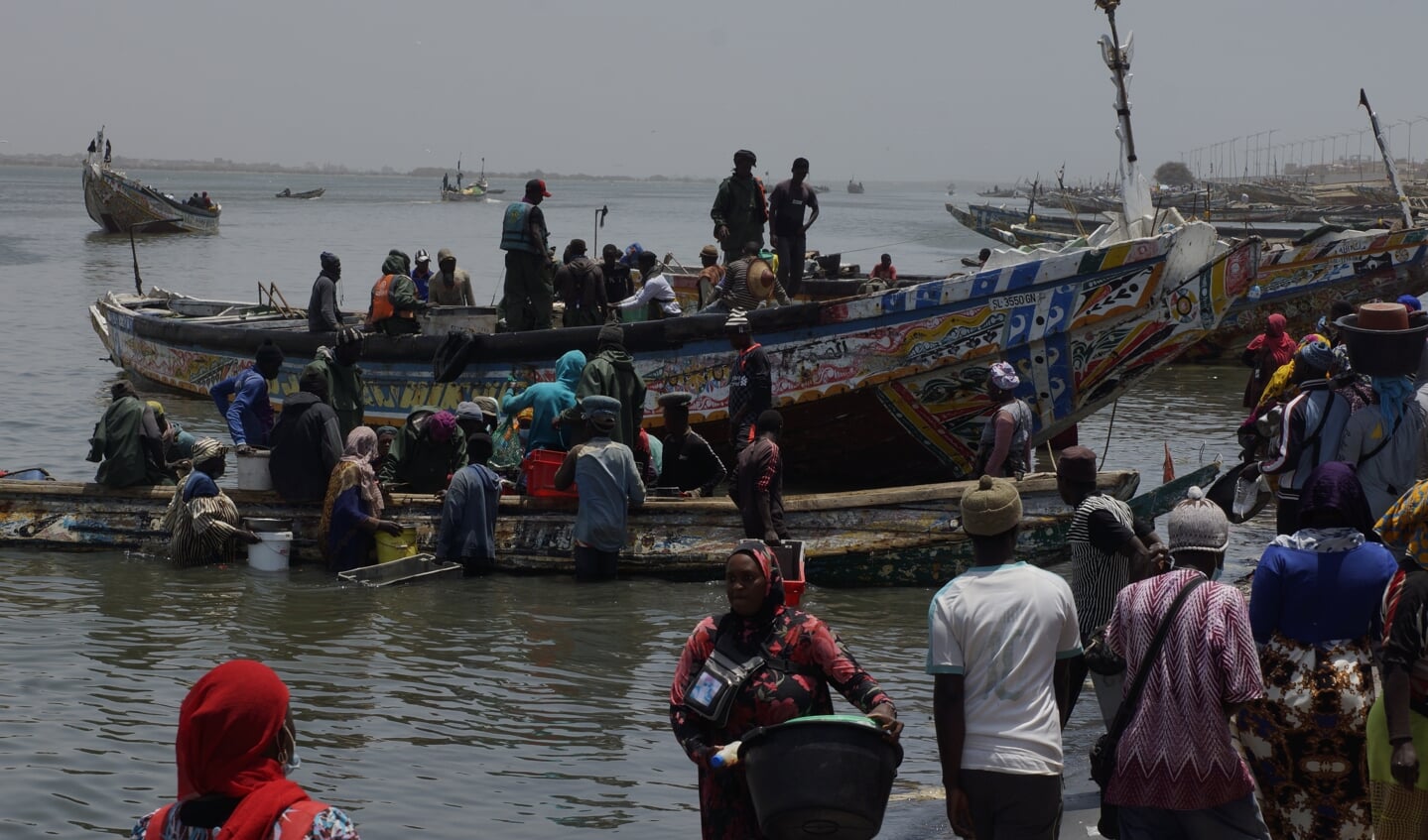 De vishaven in Saint-Louis, Senegal is een belangrijke vertrekplaats
voor clandestiene boten naar Spanje.