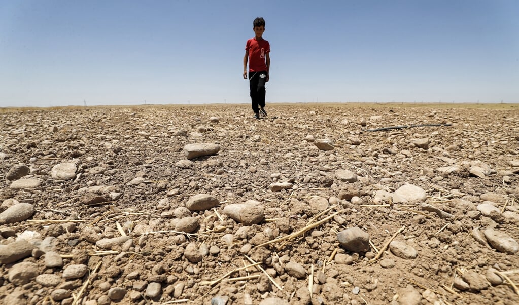 Een jongen loopt door een opgedroogd landbouwgebied in het Saadiya-gebied, ten noorden van Diyala in het oosten van Irak. (beeld afp / Ahmad Al-Rubaye)
