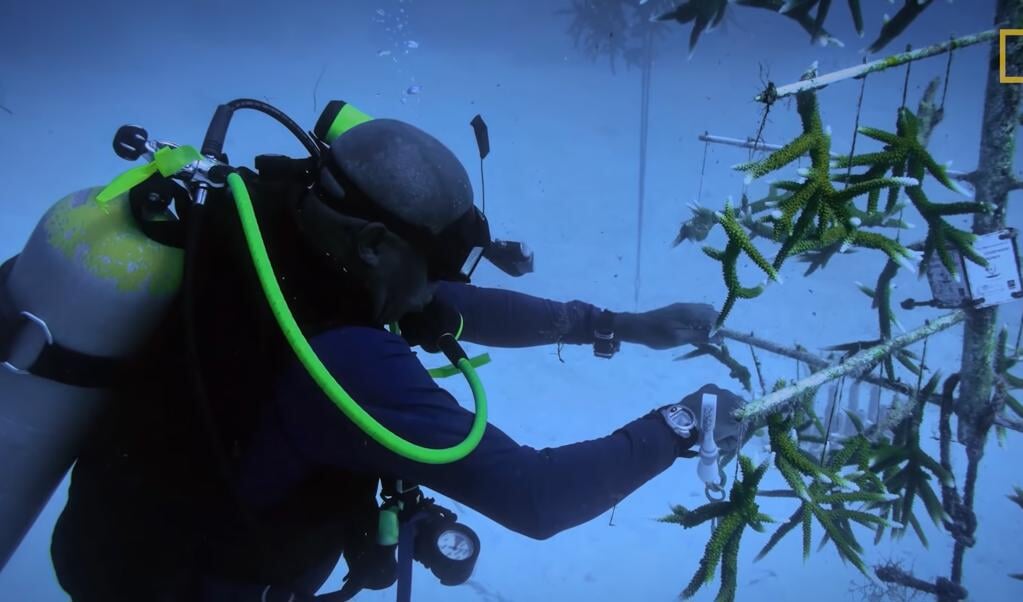Een deel van de slavernijgeschiedenis ligt nog steeds verborgen onder het wateroppervlak van de Atlantische Oceaan. (beeld National Geographic)