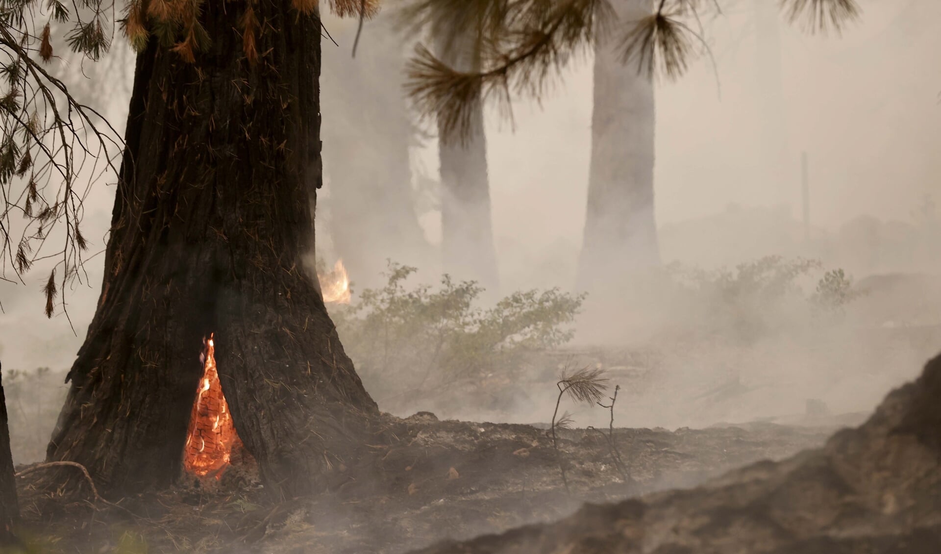 Een enorme bosbrand in een redwoodbos in het noorden van Californië, de Dixie Fire, woedt al meer dan een maand. Deze foto is van eerder deze maand. De klimaatverandering is ontwrichtend, 'we zitten er middenin'.