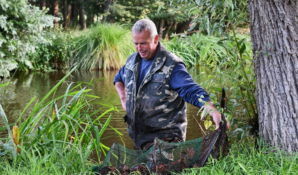 Jan de Waard laat een van zijn stekken buiten het proefgebied in de Krimpenerwaard zien. (beeld Theo Haerkens)