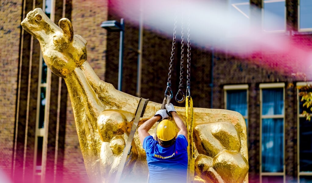 De plaatsing van het Grote Gouden Kalf op de Neude, voorafgaand aan de start van het Nederlands Film Festival (NFF). (beeld anp / Marco de Swart)