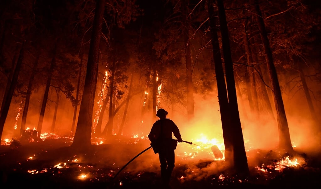 Een bosbrand in Californië. Nu bosbranden vaker voorkomen, kan het bos niet herstellen voordat de volgende brand zich aandient. (beeld Fallon / afp)