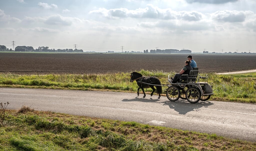 De geploegde grond op de achtergrond is bestemd voor de bouw van een zonnepark als noodsteun aan het regionale Ommelander Ziekenhuis. (beeld Harry Cock)