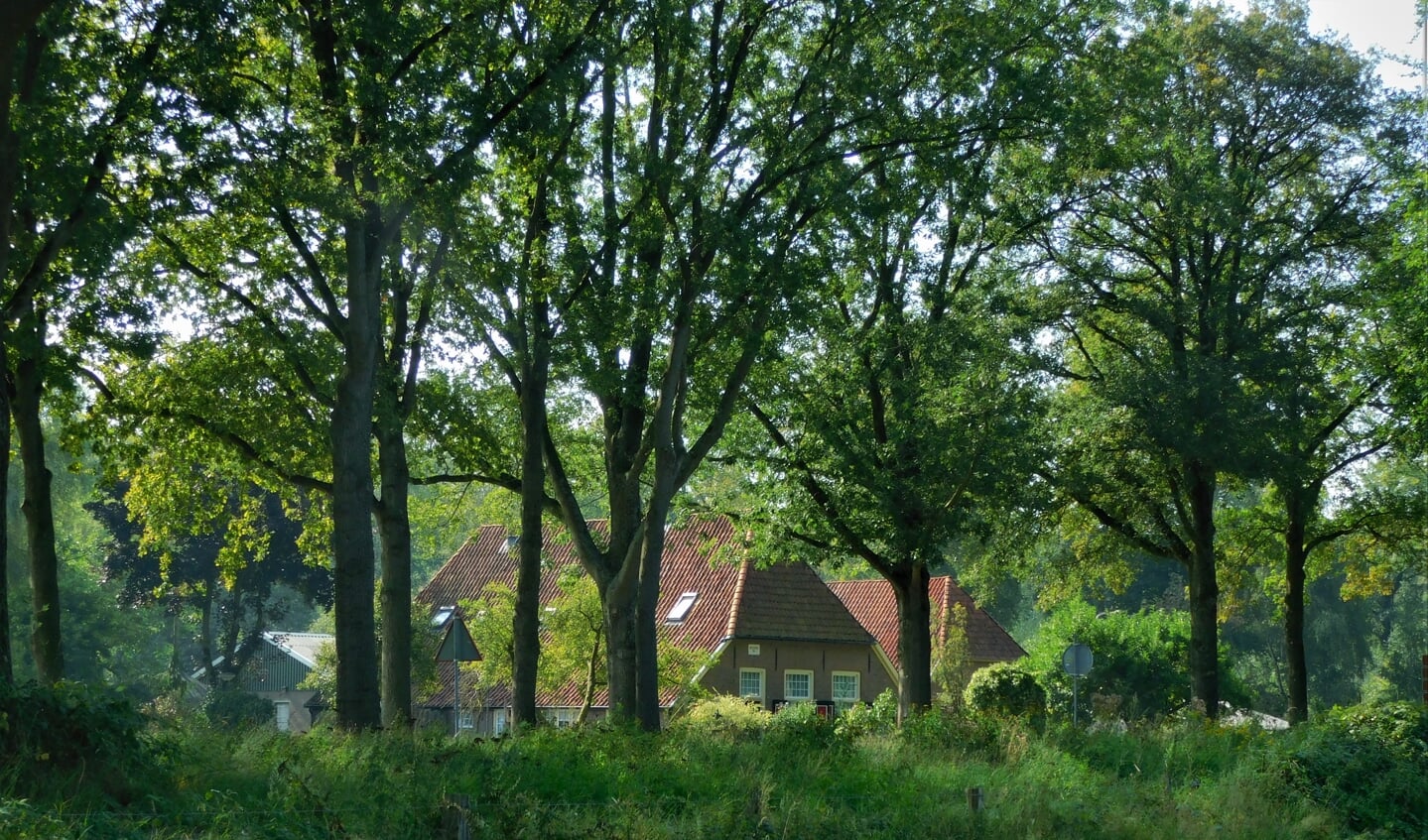 De wandeling voert langs een oude Achterhoekse boerderij.