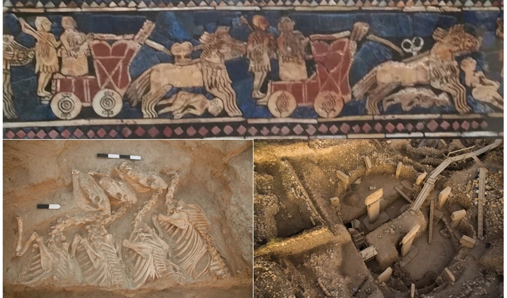Paneel uit Ur met een veldslag waarin de strijdezels een rol spelen. Linksonder: opgraving van een paardachtige in Umm el-Marra. Rechtsonder: opgraving in de Göbekli Tepe-tempel. (beeld Thierry Grange)