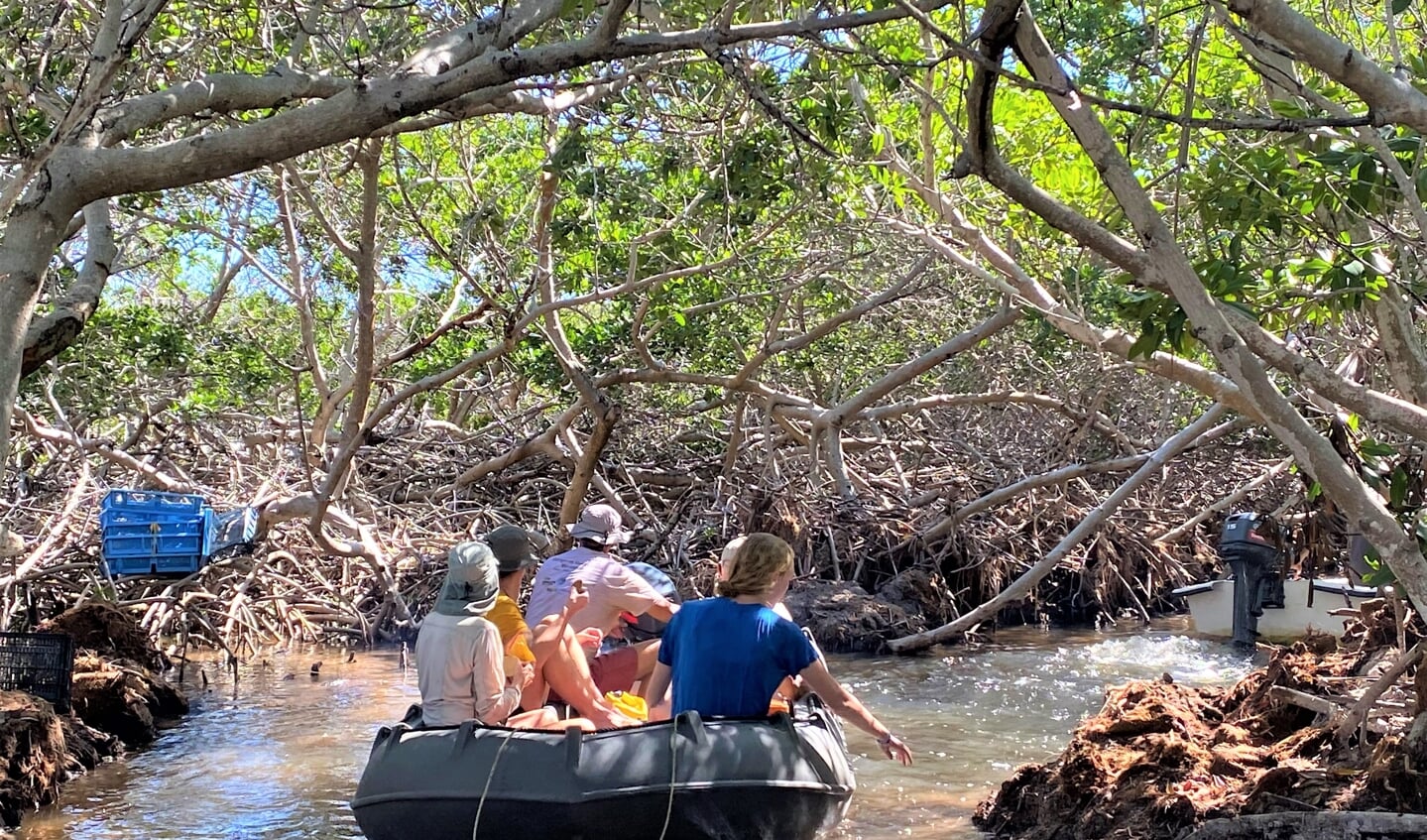 Mangrove Maniacs op weg naar het werk in het bovenwaterbos.