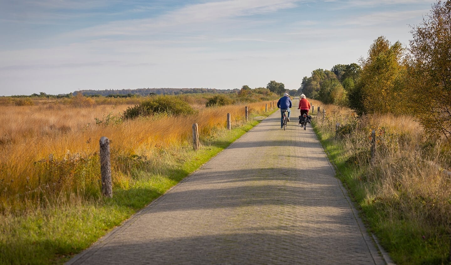 Er wordt onderzocht of vlonderpaden in het Fochteloërveen toeristen een betere beleving van hoogveen kunnen geven.