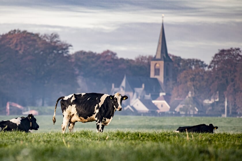 Christenen eten vaker vlees dan de gemiddelde Nederlander.