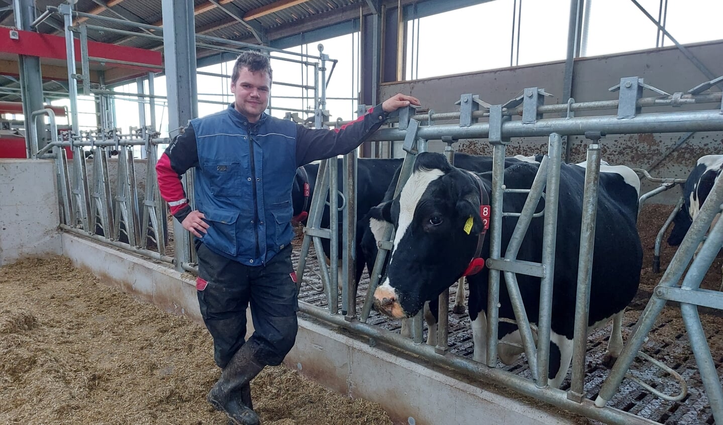 Boer Pieter van Zijtveld (30) met koe 082 (11). Zij passeerde onlangs de mijlpaal van 100.000 liter melk.