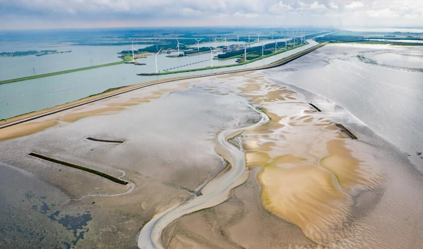 Extra zand aanbrengen, zoals in 2014 bij de Oesterdam in de Oosterschelde, helpt vooral de natuur. Het effect op de kustverdediging is vooralsnog klein.