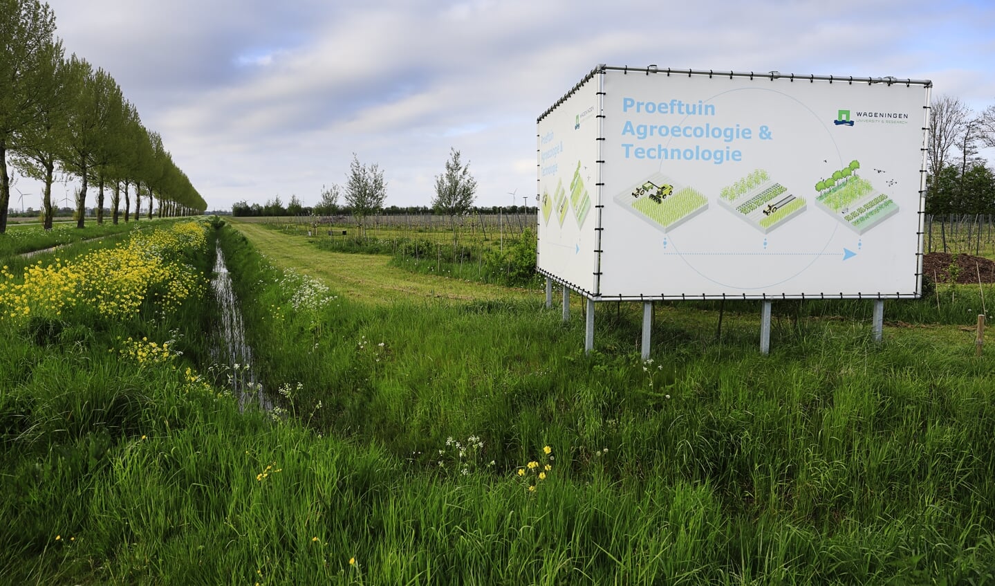 In de proeftuin Agroecologie en Technologie van de Wageningen Universiteit wordt onderzoek gedaan naar regeneratieve plantaardige productiesystemen. Dat betekent: biodiversiteit het gebruik van gewasbeschermingsmiddelen tot een minimum te beperken en de uitspoeling van nutriënten verminderen. De continuïteit van de voedselproductie en de economie zijn hierbij leidend.