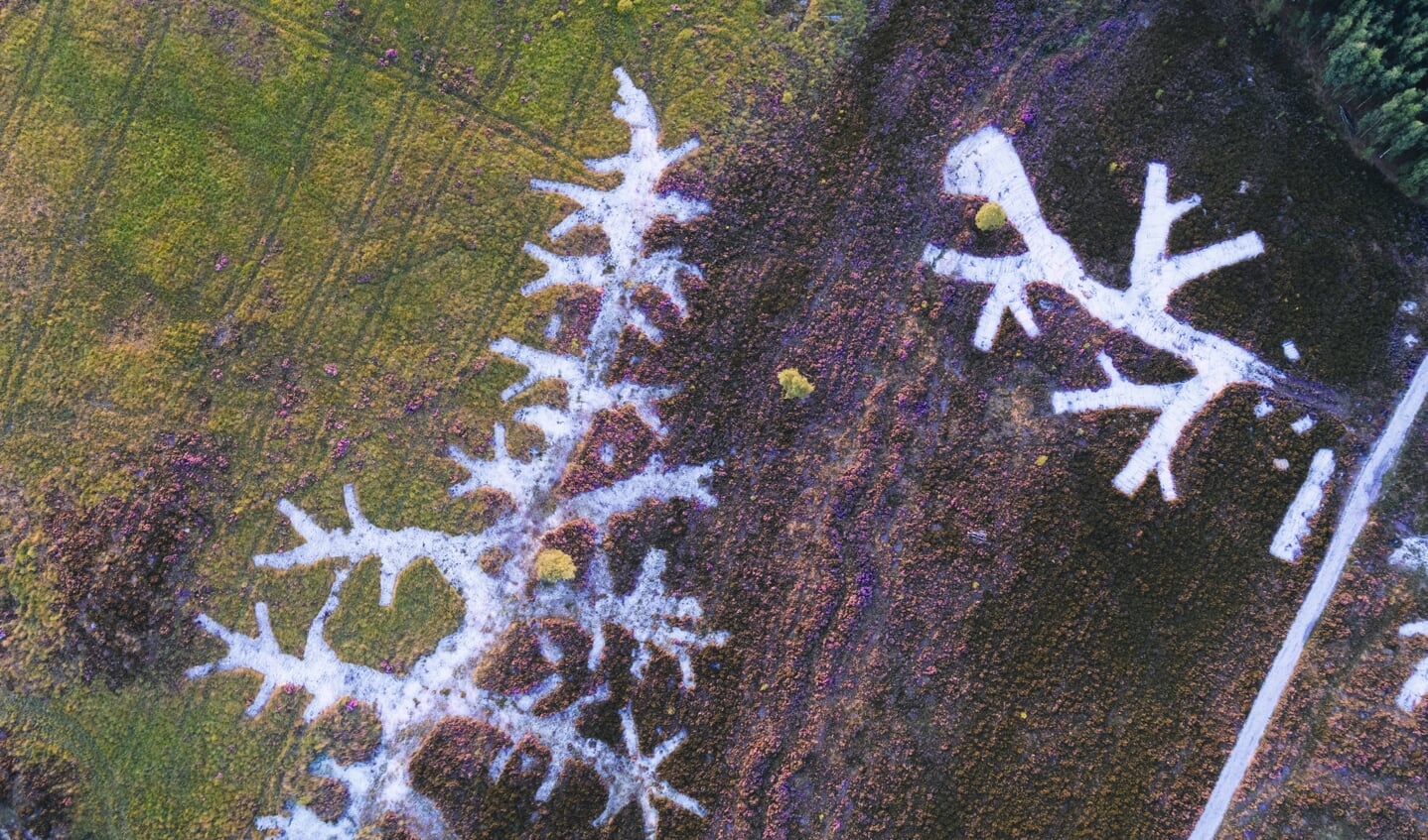 Luchtfoto van De Hamert, onderdeel van Nationaal Park De Maasduinen. Je ziet de structuren van het plaggen van heide.