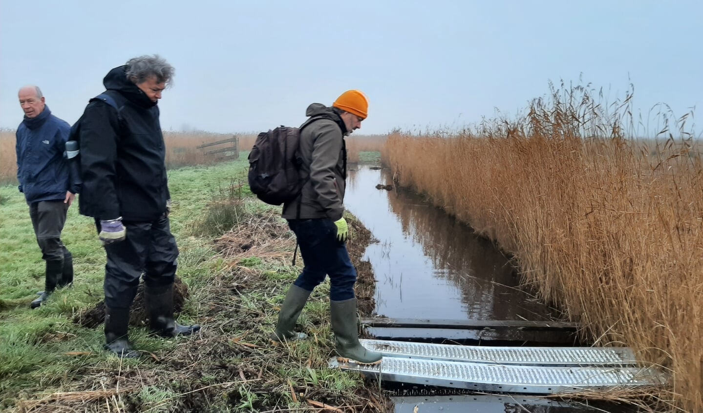 Gerard de Vries (midden) voordat hij het golvende veen betreedt en ook voordat hij met zijn been een meter diep zal wegzakken.