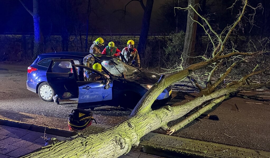 In Maassluis viel woensdagavond een boom op een rijdende auto.  (beeld anp)