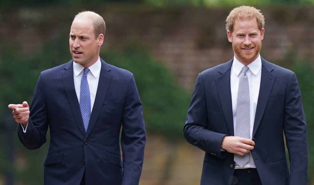 Prins William en prins Harry bij de onthulling van een standbeeld voor hun moeder in juli 2021.   (beeld afp / Yui Mok)