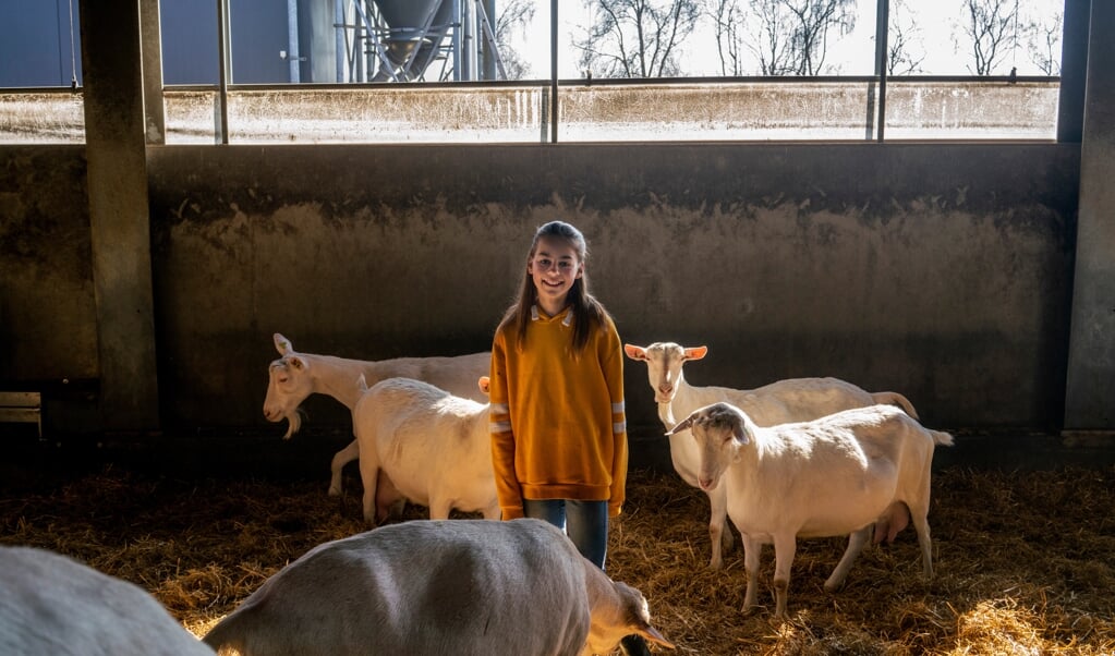 Wendy Wouters (11) woont op een geitenboerderij in Hilvarenbeek in Noord-Brabant.
  (beeld Jet Budelman)