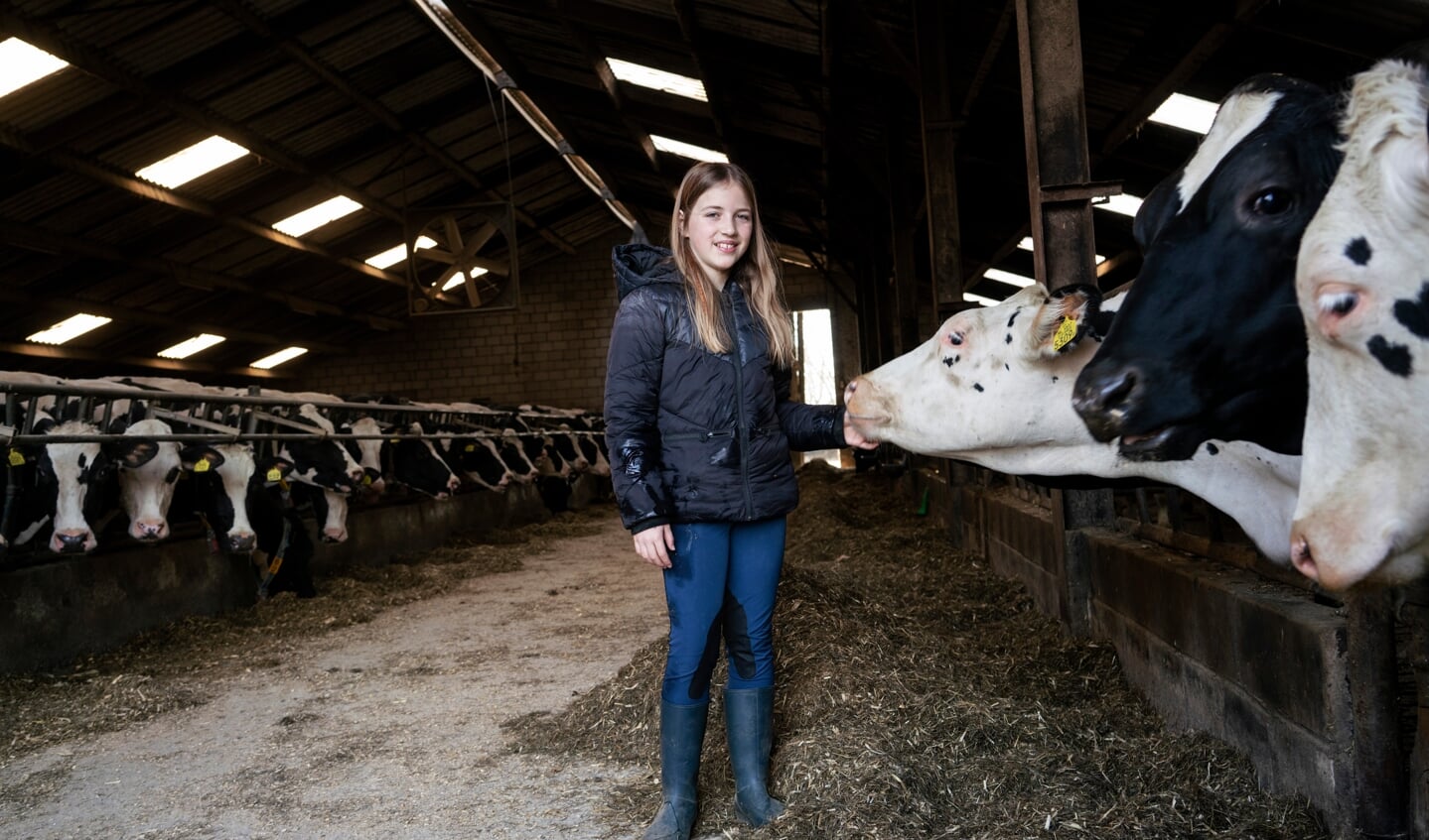 Eva Vanhommerig (10) woont op een koeienboerderij met ook akkerbouw in Simpelveld,
provincie Limburg.