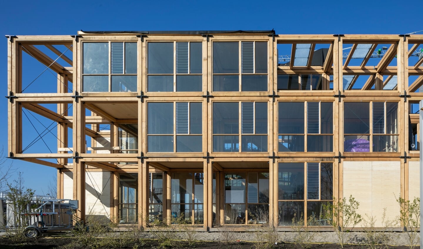 ‘The Natural Pavilion’ is opgebouwd uit 72 gelijke modules van Nederlands hout.