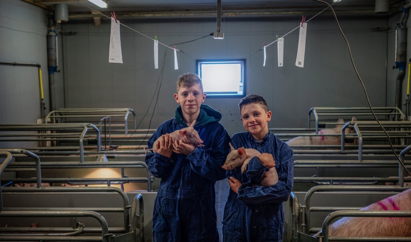 Jesse (12, l.) en Daan (11) Uijen zijn broers en wonen op een varkensboerderij, met ook 20 vleeskoeien, in Niftrik, provincie Gelderland.