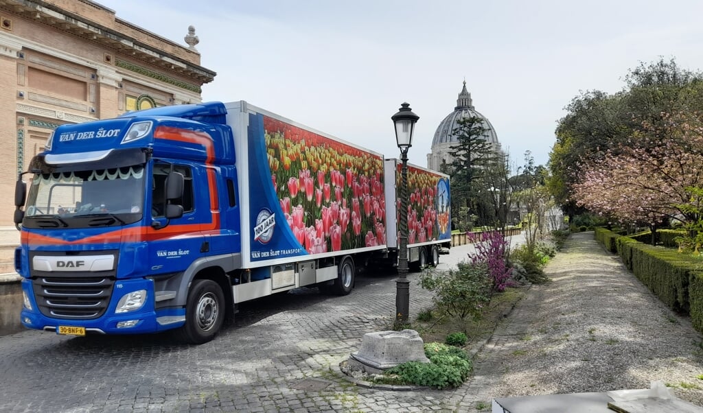 De dubbele oplegger met tienduizenden bloemen uit Nederland komen aan in de Vaticaanse tuinen.  (beeld Hendro Munsterman)