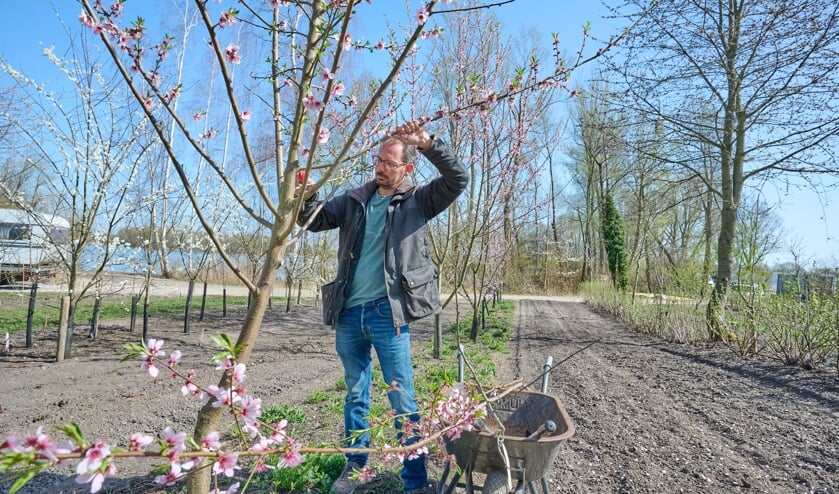 Xavier San Giorgi bij een van de bloeiende bomen: .'Ik wil hier laten zien hoe mooi herstel van de natuur is.'