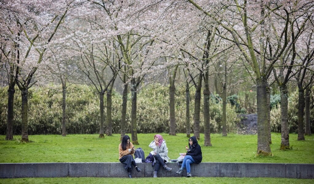 Jongeren in een park. Dat de coronacrisis de mentale gezondheid van jongeren harder trof is vaker gesignaleerd. (beeld anp / Ramon van Flymen)