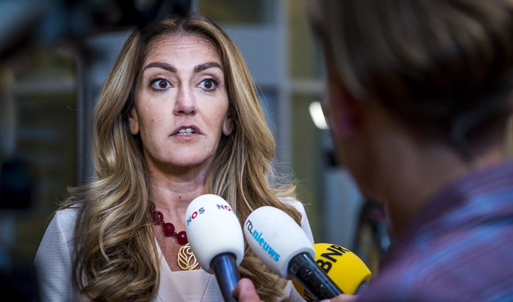 De minister van Justitie en Veiligheid Dilan Ye?ilgöz staat de pers te woord op het Binnenhof na afloop van de wekelijkse ministerraad. (beeld anp / lex van Lieshout)