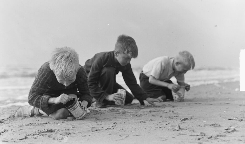 Drie kinderen op zoek naar coloradokevers op het Zandvoortse strand. (beeld Nationaal Archief / Harry Pot)
