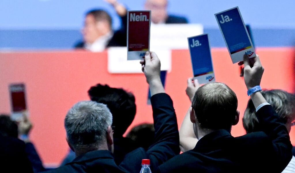 AfD-afgevaardigden stemmen op het partijcongres dat eindigde in chaos en verwarring. (beeld epa / Filip Singer)