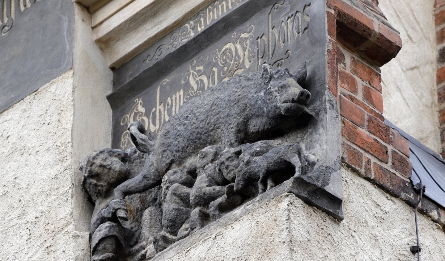 De 'Jodenzeug', een anti-Joods reliëf in de muur van de stadskerk van Wittenberg, moet weg, vinden sommigen. De rechter moet zich daar nu over uitspreken.