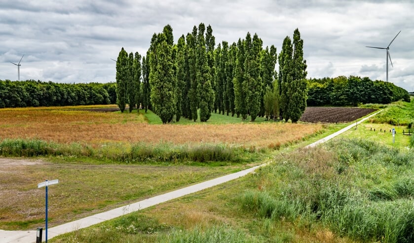Een wandelpad leidt langs de bomen, die geplant staan op een soort plateau.