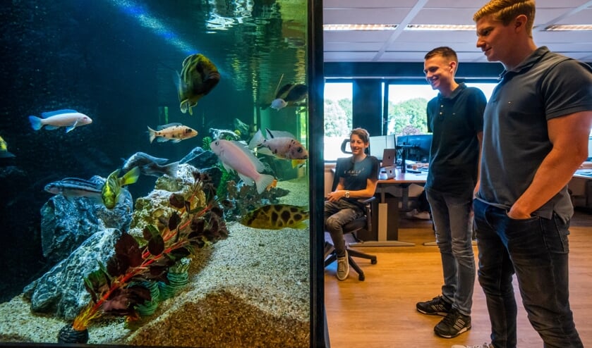 Medewerkers van Soleil Solutions bij het aquarium. 'Als je een paar minuten naar de vissen kijkt, word je rustig.’