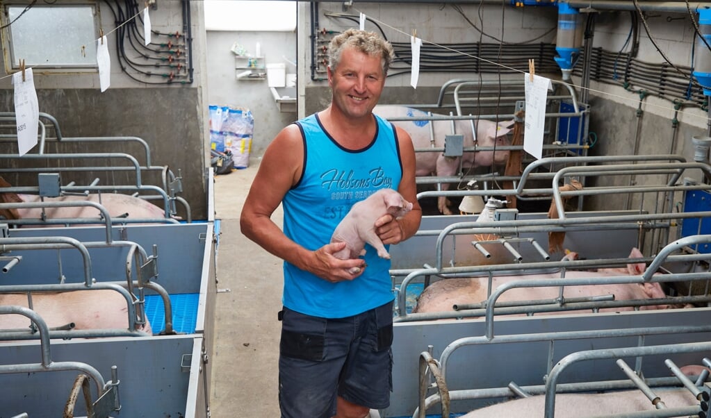Varkenshouder Dirk van Hierden: 'De consument roept dat dierenwelzijn en duurzaamheid belangrijk zijn, maar voor het schap handelt ‘ie daar niet naar.’   (beeld Jaco Klamer)