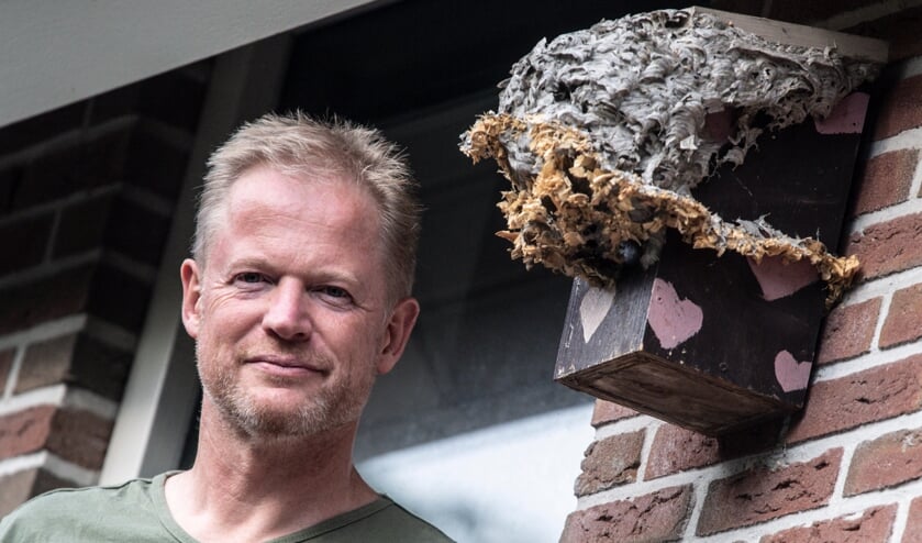 Sjoert Fleurke noemt zichzelf een wespenvriend.