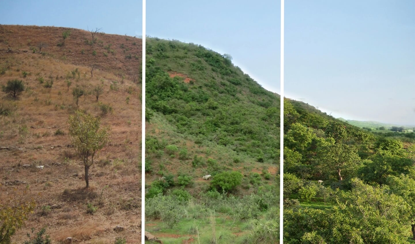 Ook in Ghana wisten boeren via Rinaudo's methode het dorre land (links) te vergroenen (rechts).