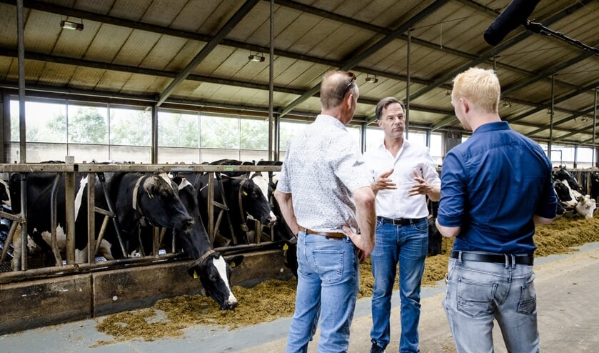 Minister-president Mark Rutte krijgt een rondleiding op een melkveebedrijf voorafgaand aan een gesprek met boeren over de stikstofplannen.   (beeld anp / Sem van der Wal)