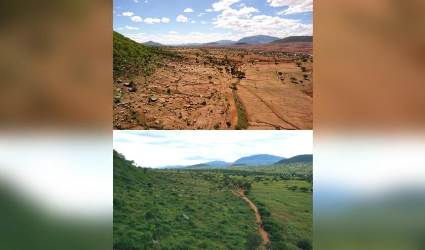 Ook in Tanzania wisten boeren via Rinaudo's methode het dorre land (boven) te vergroenen (onder).
