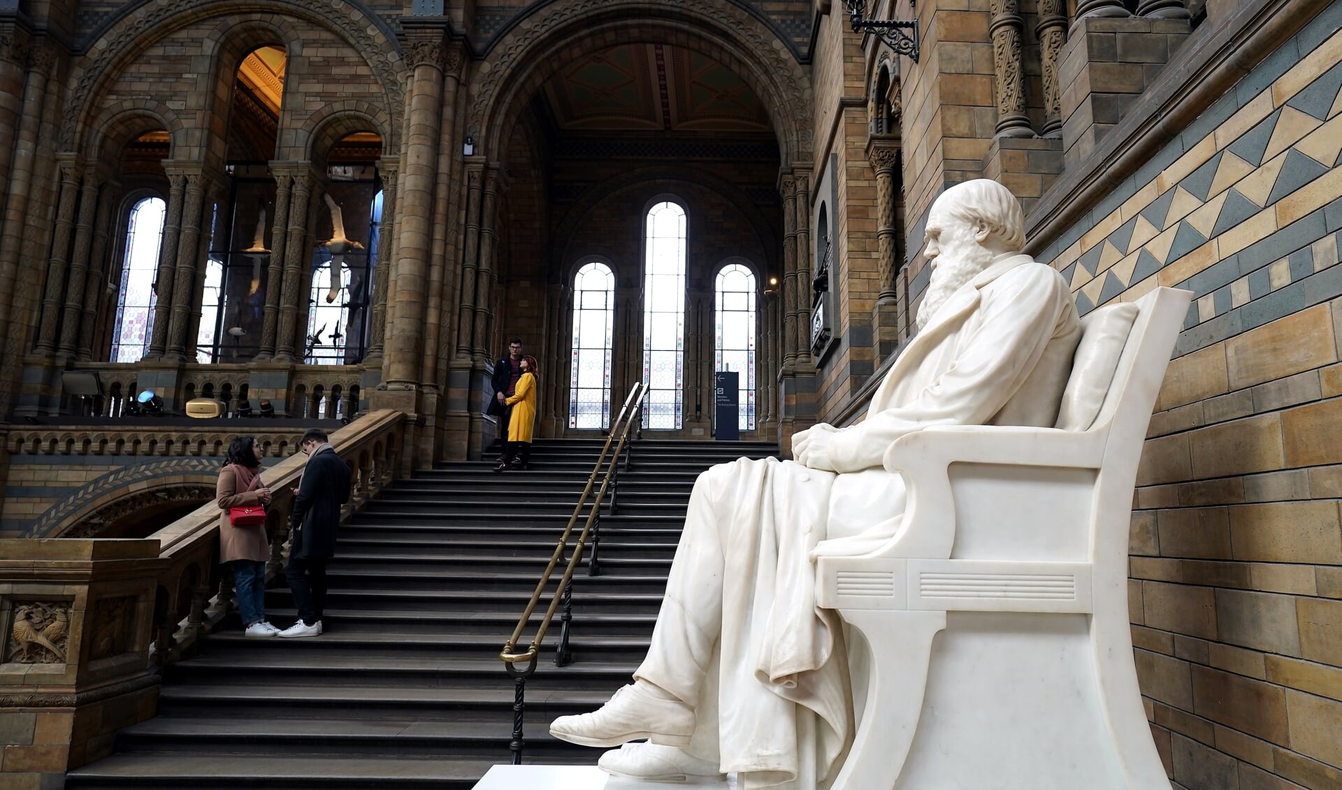 Het standbeeld van Charles Darwin in het Brits natuurhistorisch museum te Londen. 'Wat Darwins racisme zo problematisch maakt, is dat het geen verwaarloosbaar aspect maar de centrale argumentatie van zijn theorie is.'