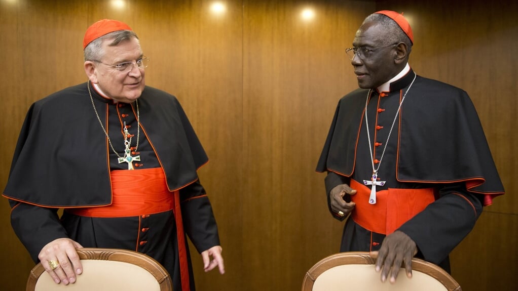 De kardinalen Raymond Burke (links) en Robert Sarah (rechts). Beiden namen dinsdagavond deel aan een protestmanifestatie van conservatieve katholieken tegen de synode van paus Franciscus. 