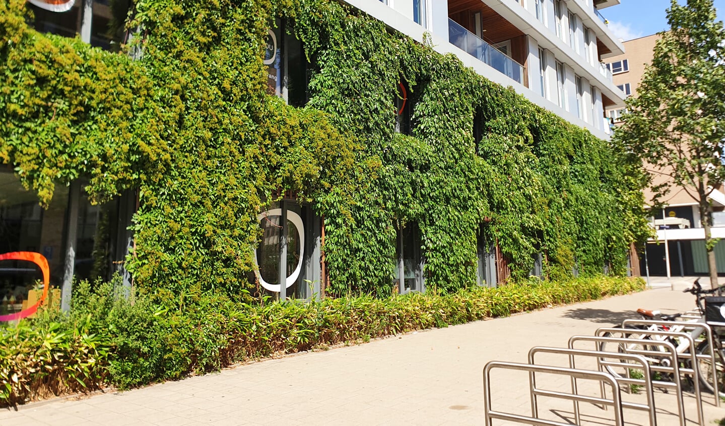 Een Groene Winkelstraat Heeft Meer Allure Dat Is Goed Voor De