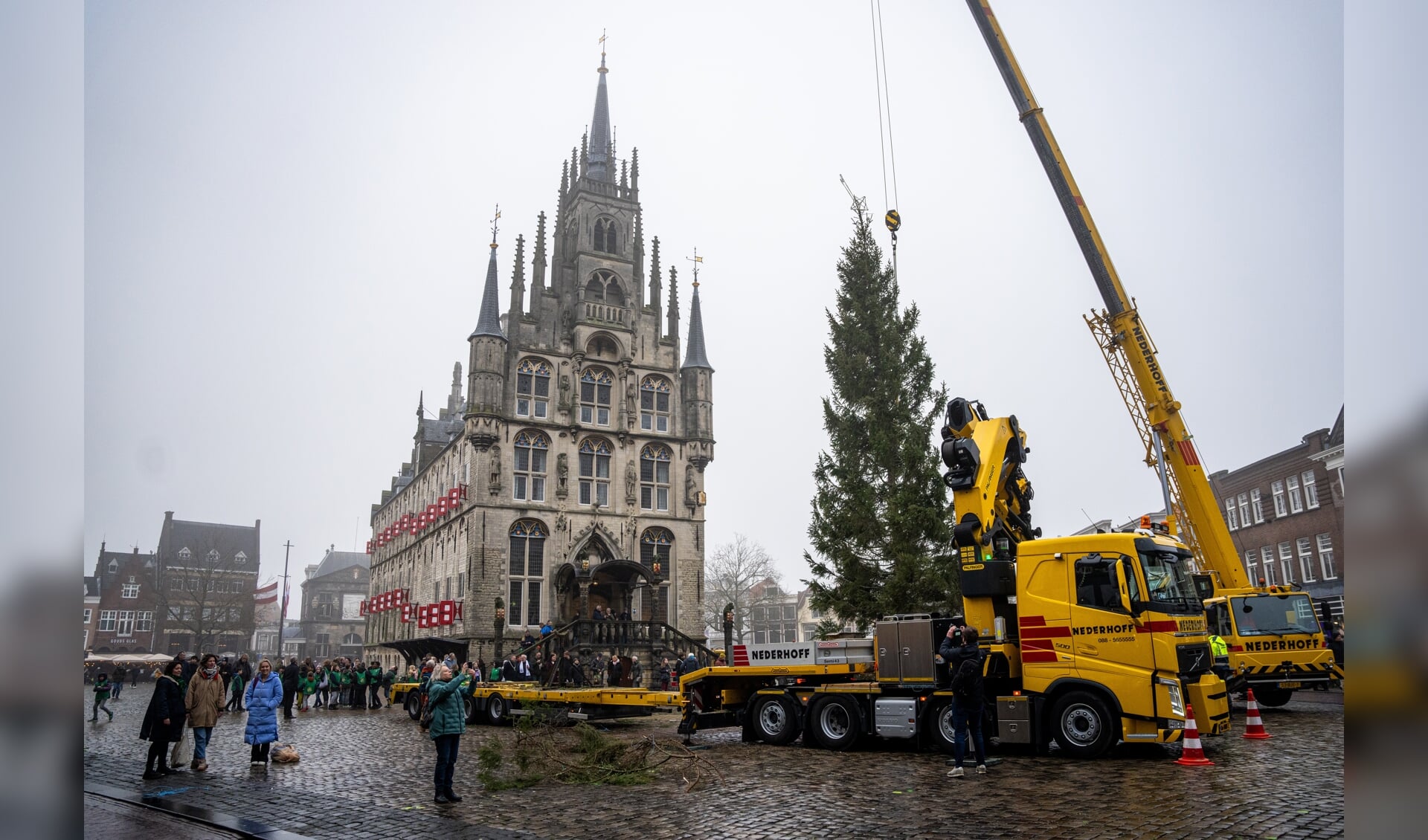 Gouda heeft weer een kerstboom, met dank aan de Noren Nederlands