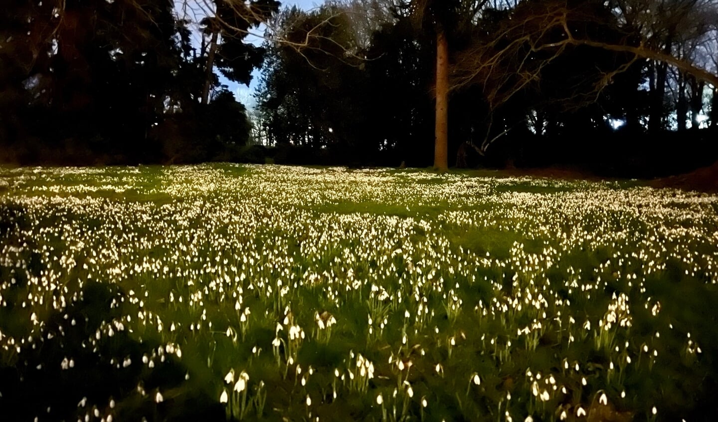 Lichtjes in het donker, als teken van hoop.