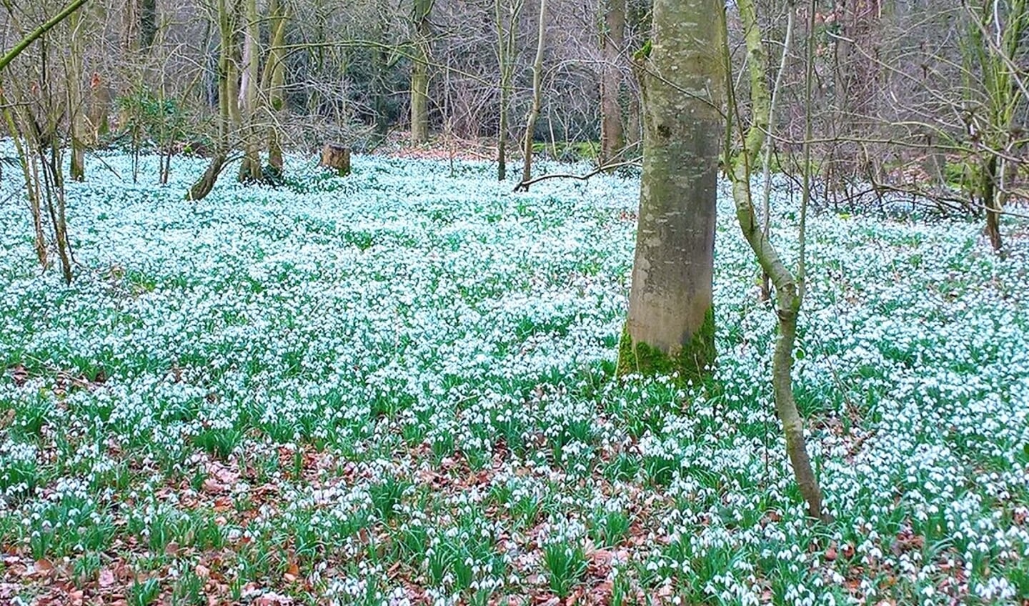 Park Vijversburg in Tietjerk