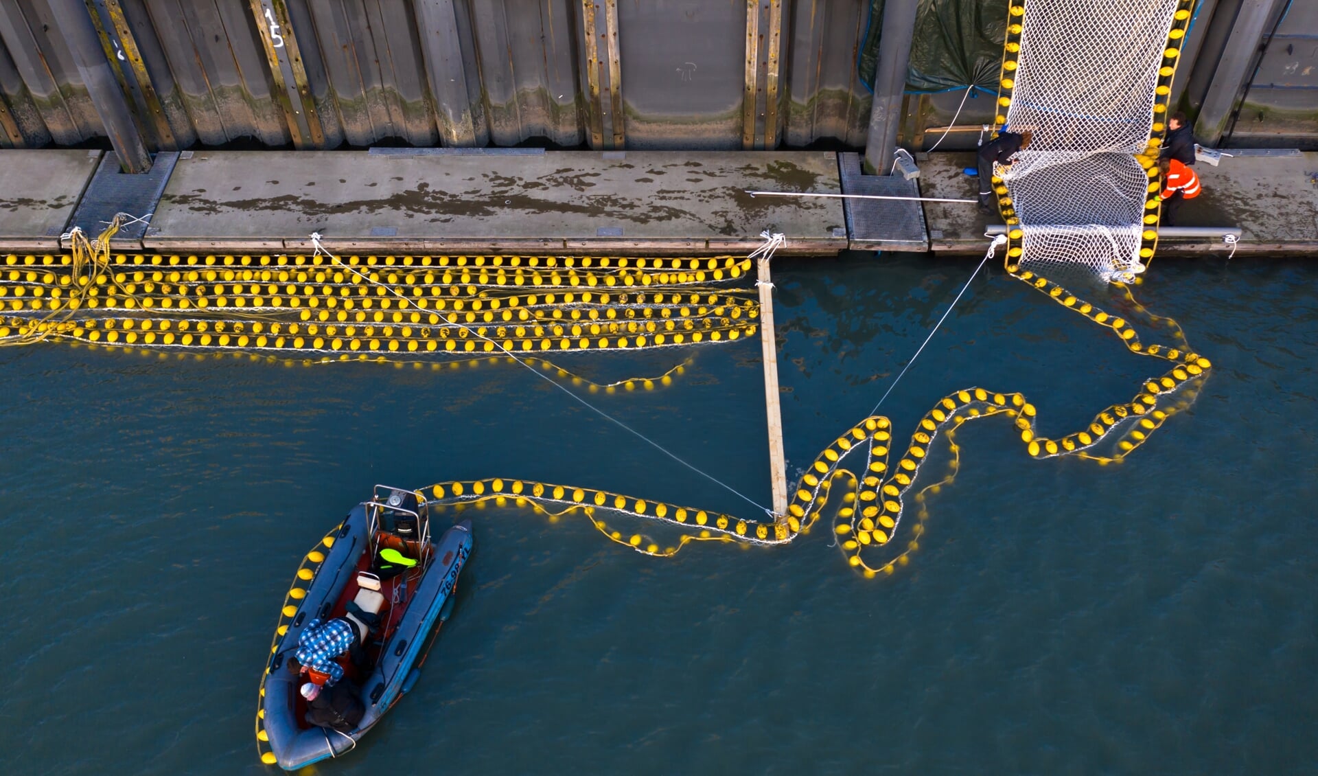 Een voorbeeld van duurzame innovatie op het snijvlak van voedsel en klimaat: in de haven van Scheveningen experimenteert een bedrijf met zeewier. Ook in de Noordzee is een 'proeftuin' ingericht.
