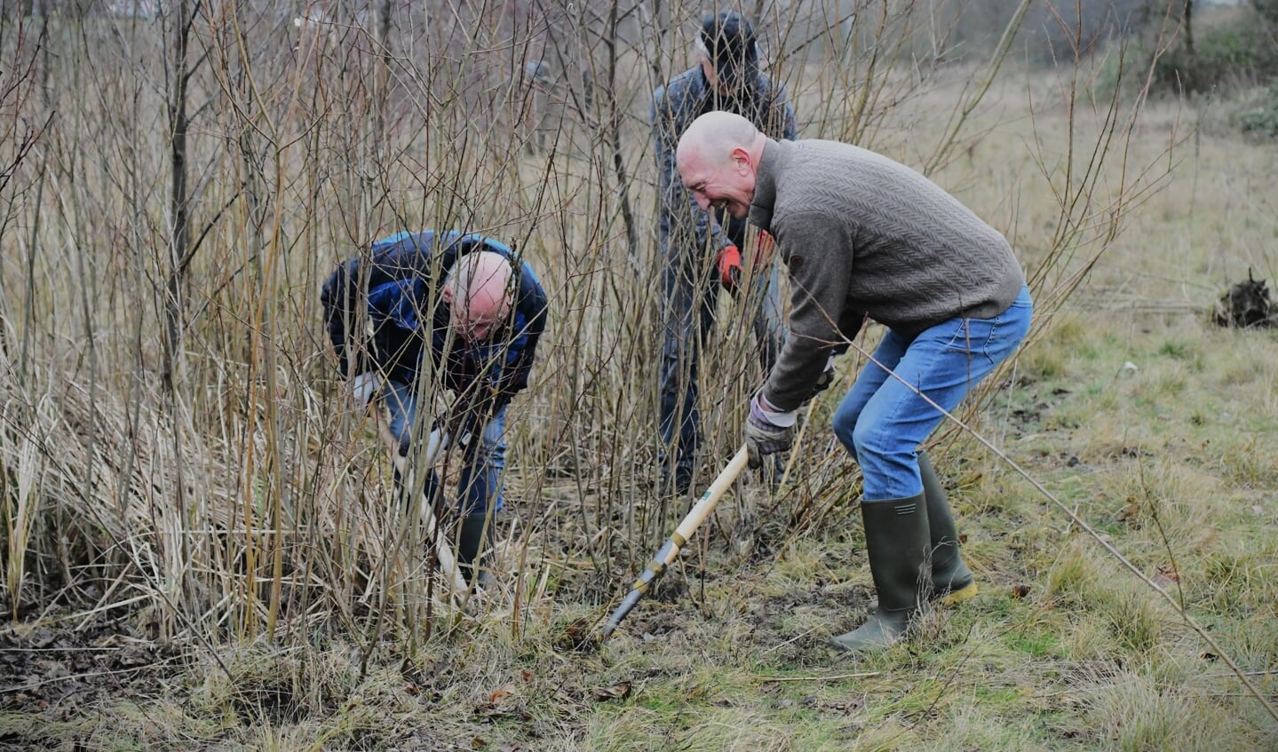 Vrijwilligers steken tijdens de actie MeerBomenNu boompjes uit in Gouda.