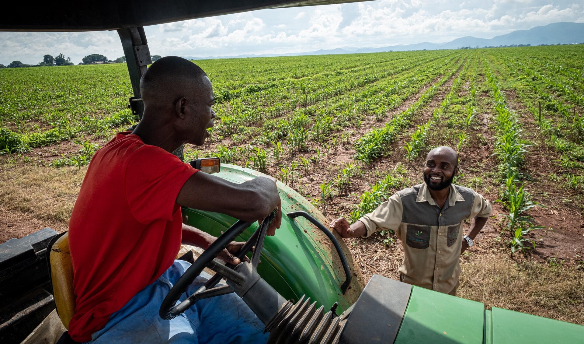 Medewerkers van boer en investeerder Tino Zinyemba (met baard) op zijn land in Glendalle. Nu het graag geoogst is, worden er andere gewassen geteeld.